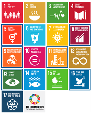 Sustainable development goals the goals we focus on