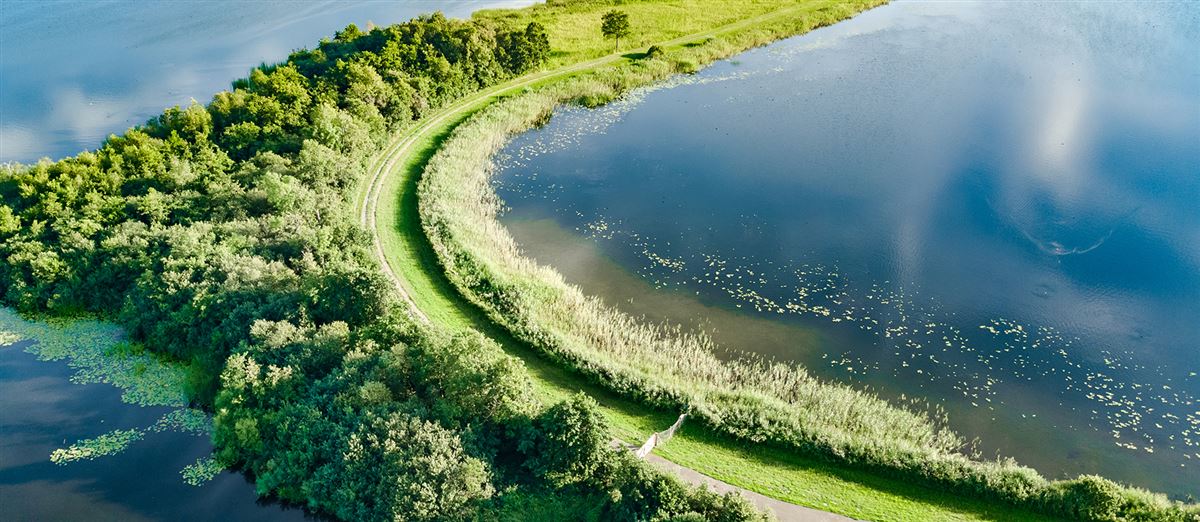 polder landschap