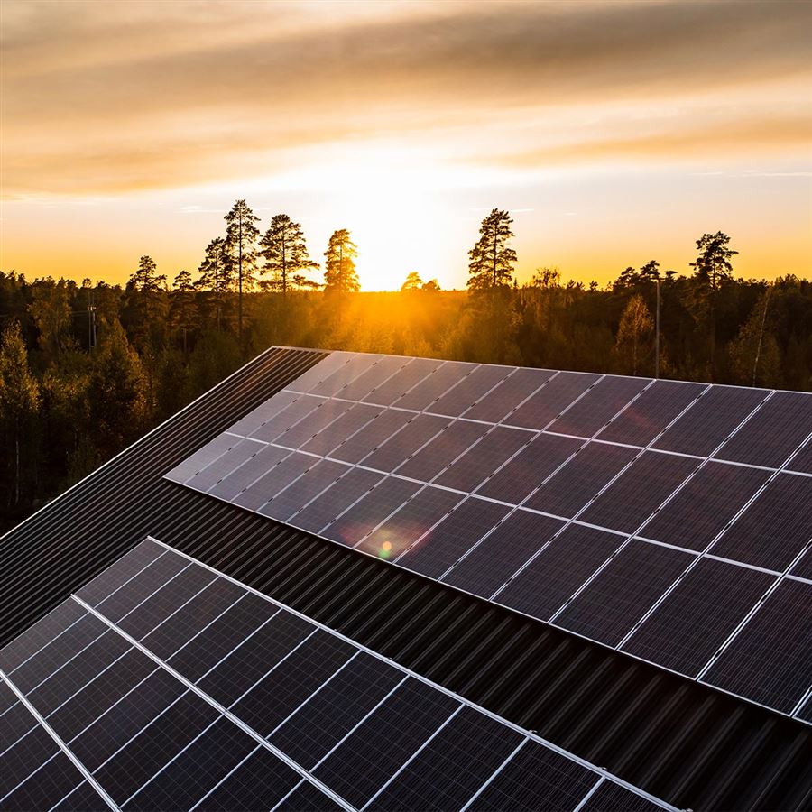 landschap met zonnepanelen