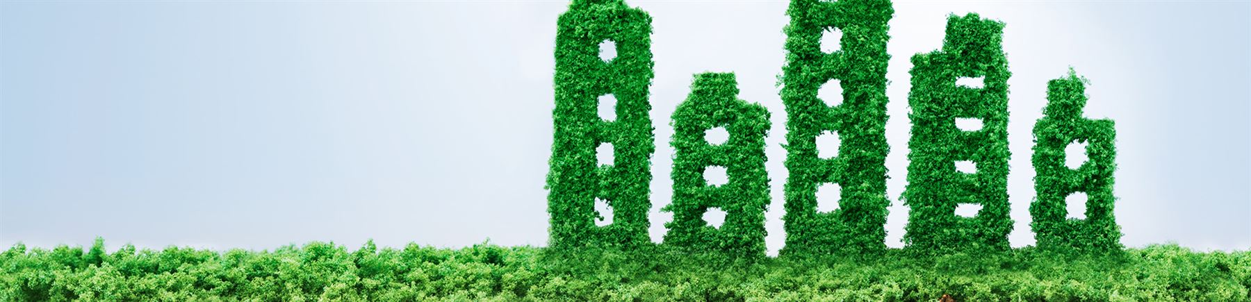 flatgebouwen bedekt met groen mos