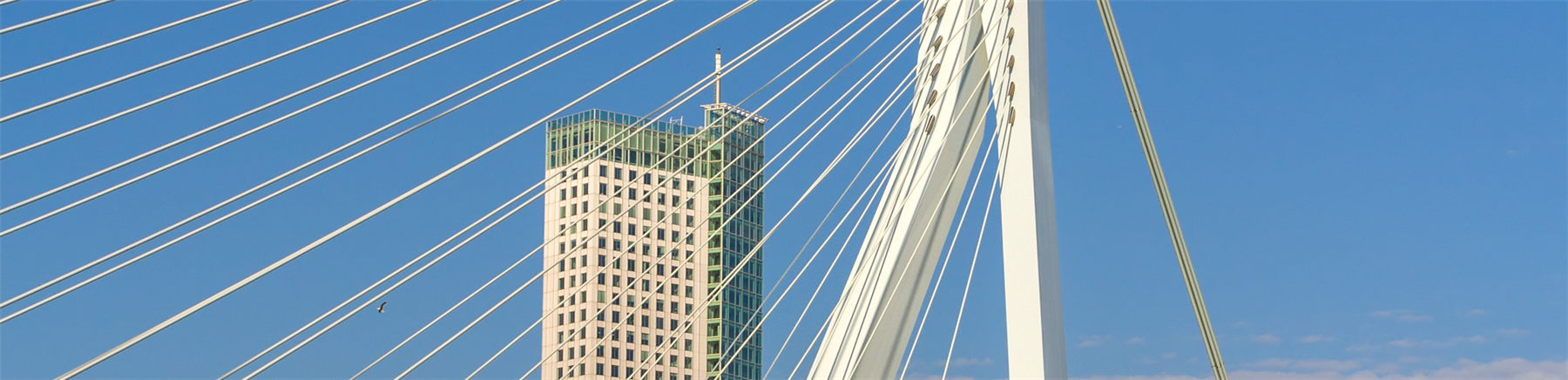 Kantoor Handelsbanken Rotterdam maas toren