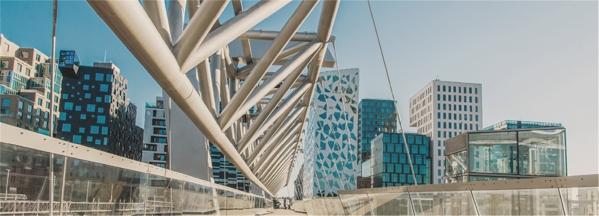 Daken van de huizen in Utrecht